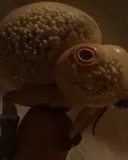 Lara_84