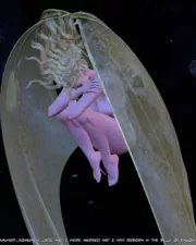0293