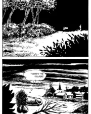 PIG_027