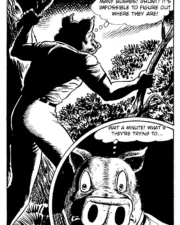 PIG_084