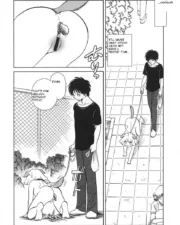 OhMyDog_047