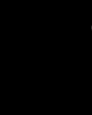 s96