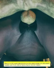TalesofHallow_GoblinLayer_045