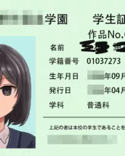 204