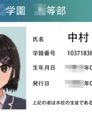 234