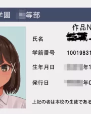 256