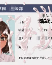 258