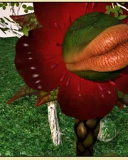 DoVF57