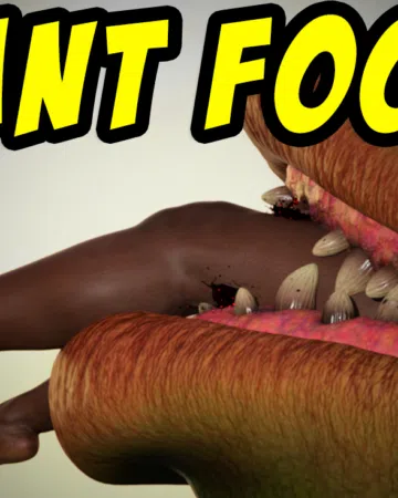 plantfood