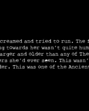 text03