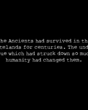 text04