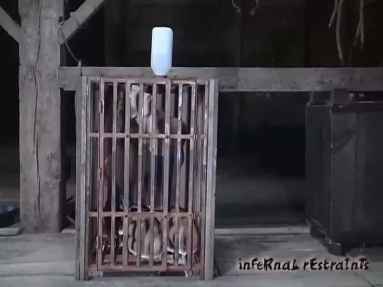 Caged Cumslut (Infernal Restraints)