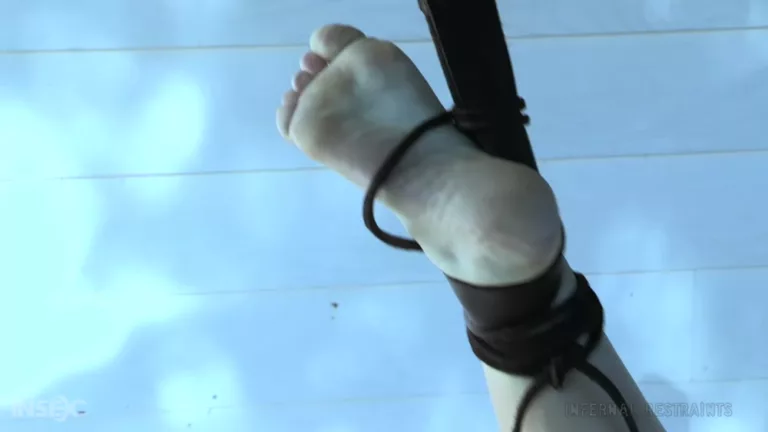 Silence of the Van #1 (Infernal Restraints)