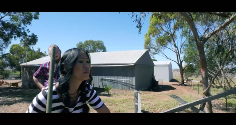 A Tribute to Tibool (Fancy Steel)