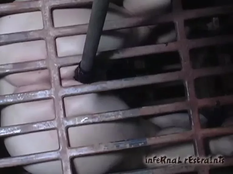 Caged Cumslut Part 2 (Infernal Restraints)