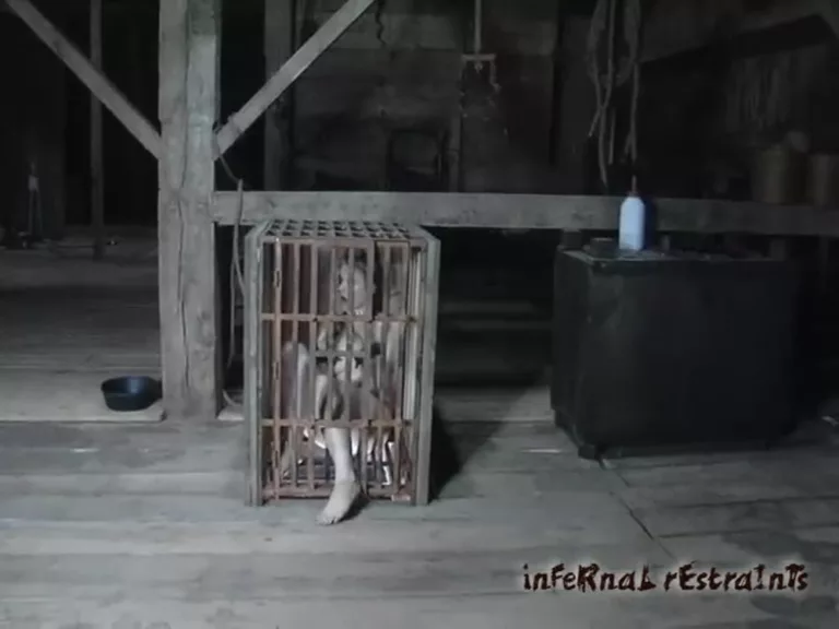 Caged Cumslut Part 2 (Infernal Restraints)