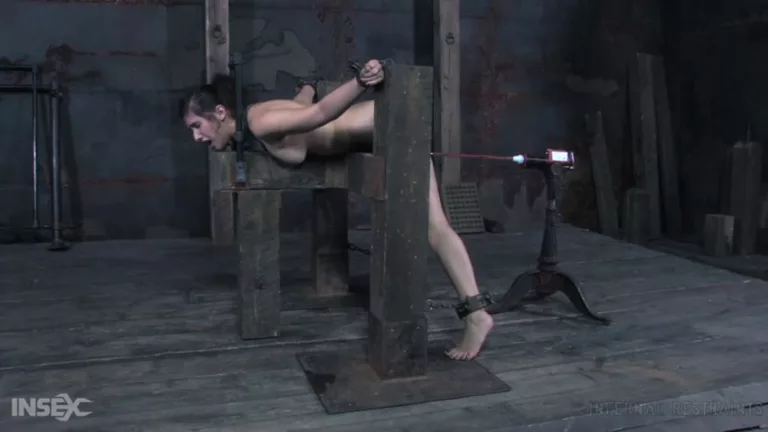 Punishment Cunt (Infernal Restraints)