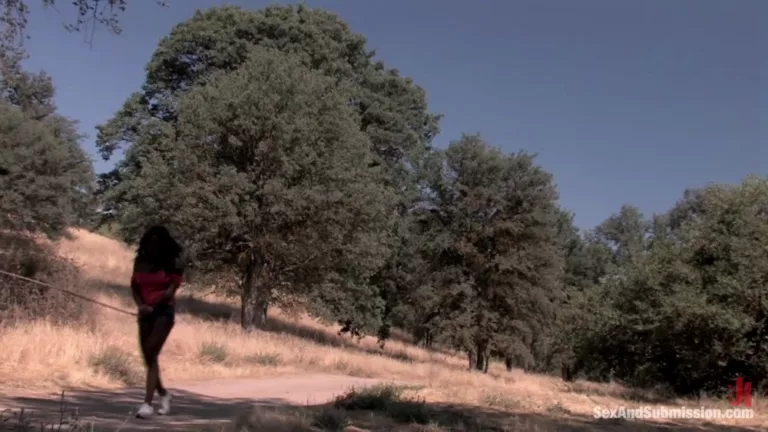 El Rancho (Kink)