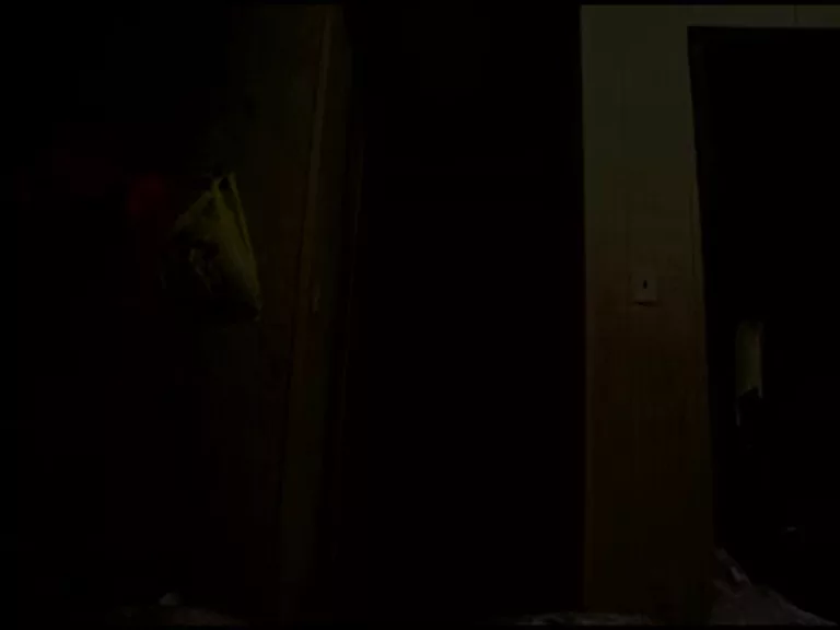 Backroom Body