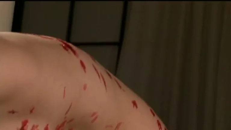 Memories Of That Strange Sexual Crime: A Masochist Young Wife’s Lustful Trauma [CMC-046] (Cinemagic)