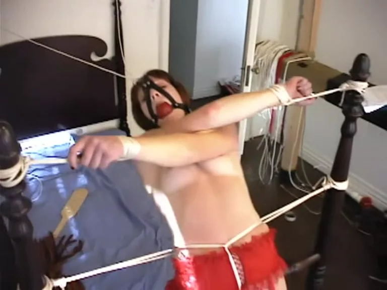 April (Hogtied)