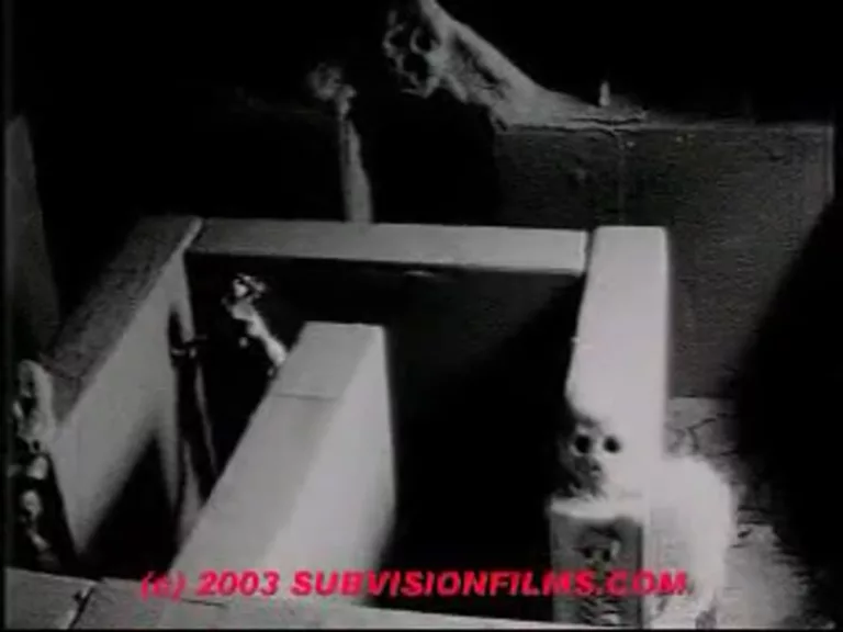 Debbie Does Damnation #2 (Sleazegroin)