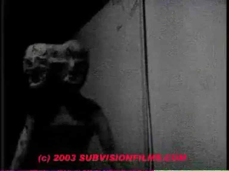 Debbie Does Damnation #2 (Sleazegroin)