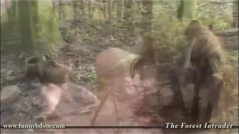 The Forest Intruder (Brutal Violence)