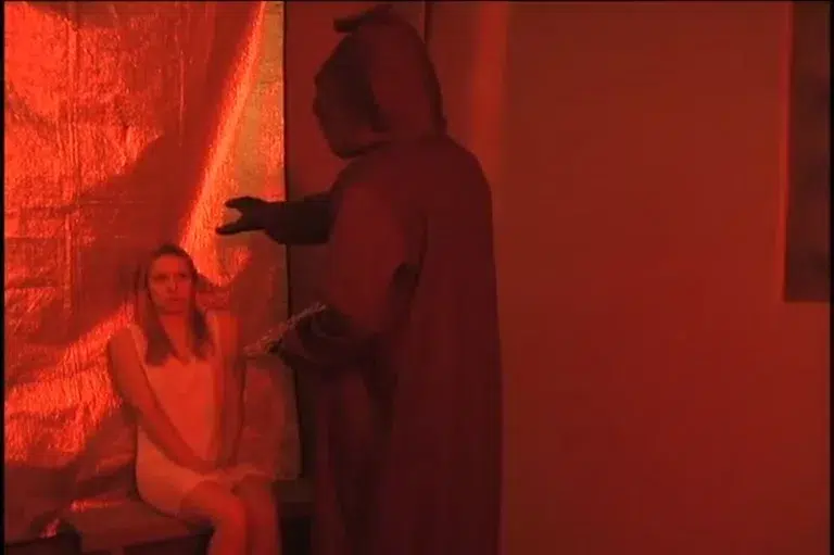 Alien Abduction (Wave Studios)