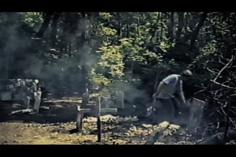 Ashes to Slashes (Wave Studios)