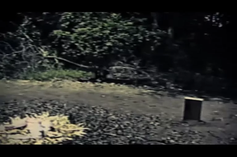Ashes to Slashes (Wave Studios)