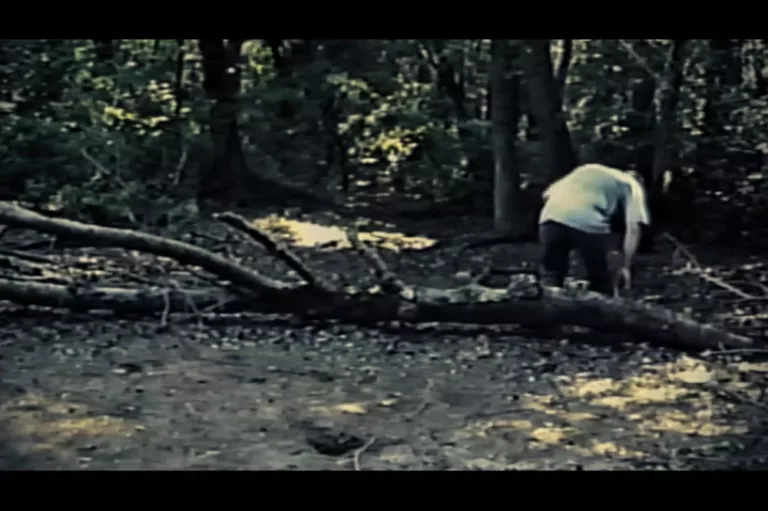 Ashes to Slashes (Wave Studios)