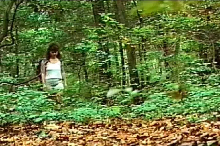 Bloody Creek (Wave Studios)