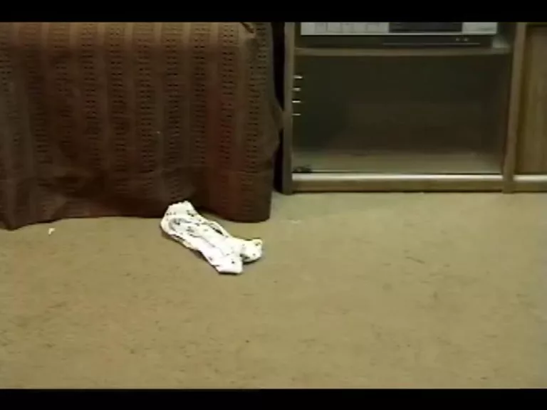 The Invisible Stalker (Wave Studios)