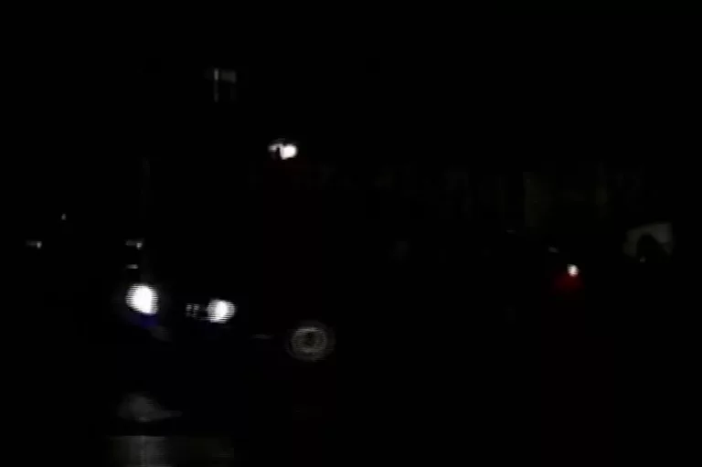 Fatal Delusion (Wave Studios)