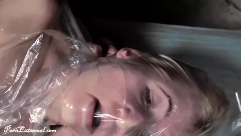 Bagged by a Burglar (PKF Studios)