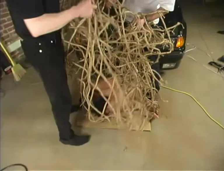 Crucified on a Car (Hogtied)