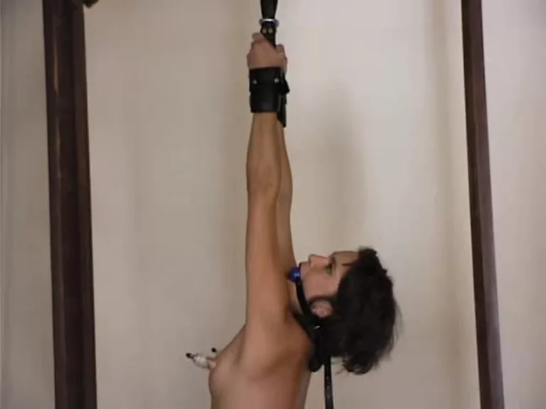 Karina Ballerina (Hogtied)