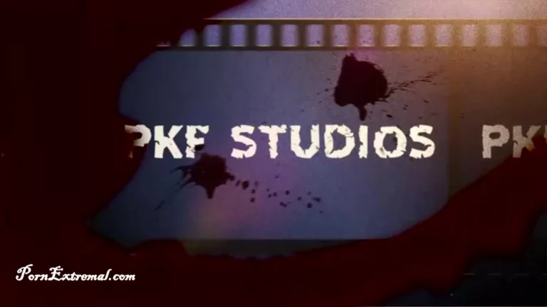 Anatomy 101 (PKF Studios)