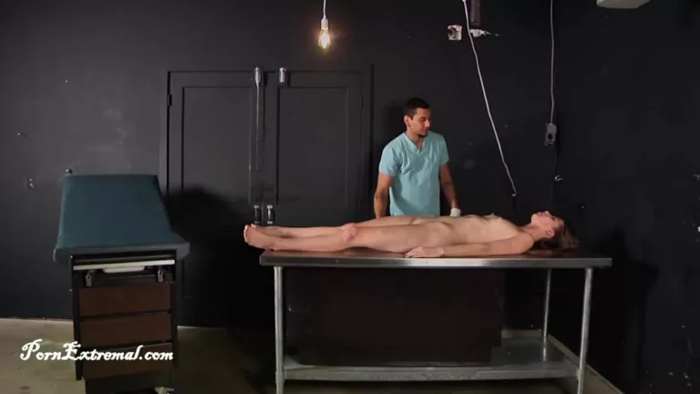 Anatomy 101 (PKF Studios)