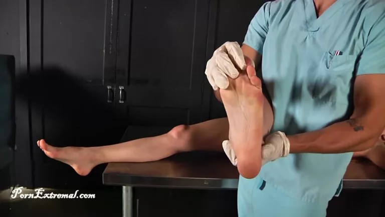 Anatomy 101 (PKF Studios)