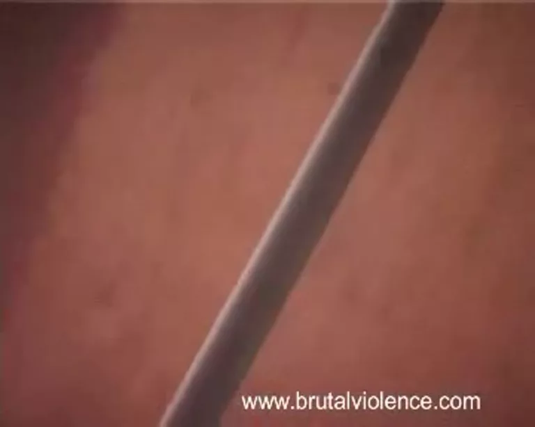 Swedish Caress (Brutal Violence)