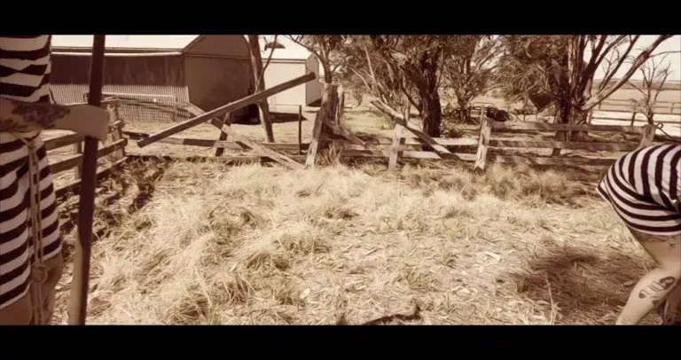A Tribute to Tibool [artistic version] (Fancy Steel)