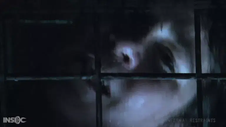 Cum Slut (Infernal Restraints)