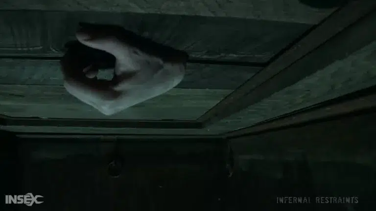 In The Hole #1 (Infernal Restraints)