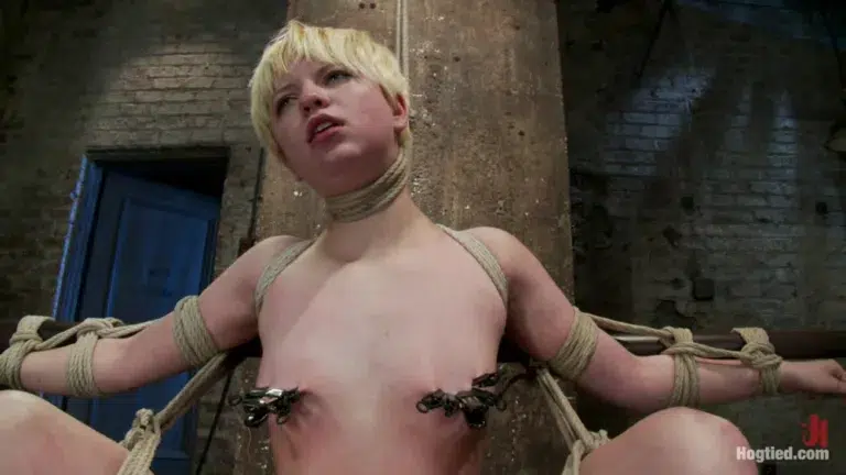 Welcome Alani Pi to HogTied (Hogtied)