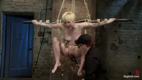 Welcome Alani Pi to HogTied (Hogtied)