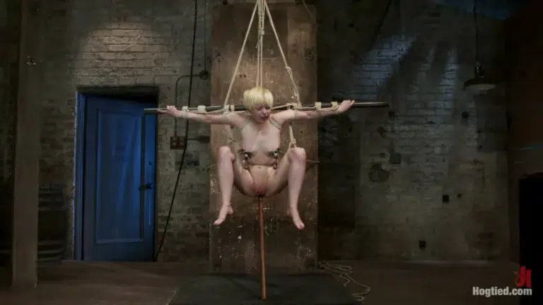 Welcome Alani Pi to HogTied (Hogtied)