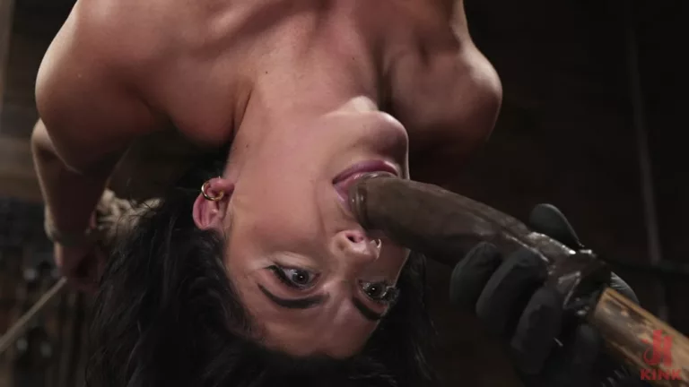 You Belong to Me (Hogtied)
