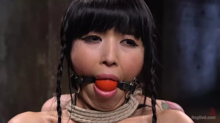 2 Whores in Predicament Bondage, Tormented and Made to Lick Pussy (Hogtied)